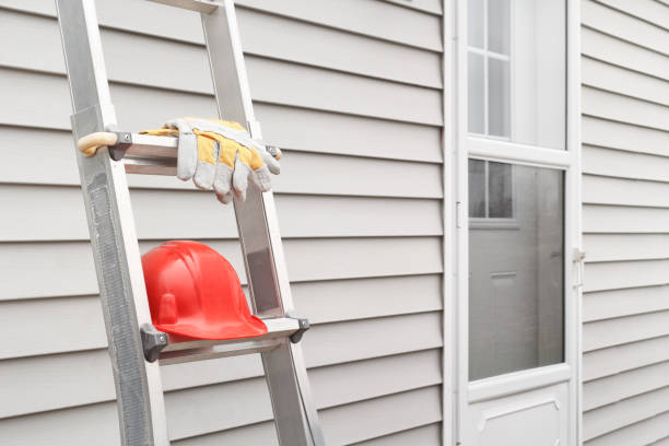 Best Custom Trim and Detailing for Siding  in Mount Morris, MI