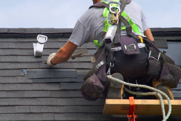 Best Insulated Siding Installation  in Mount Morris, MI