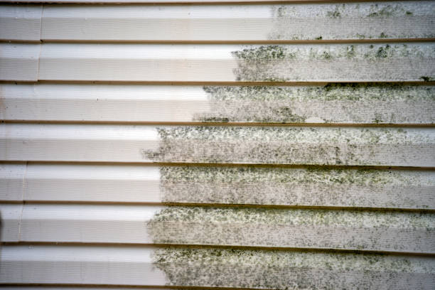 Best Fiber Cement Siding Installation  in Mount Morris, MI
