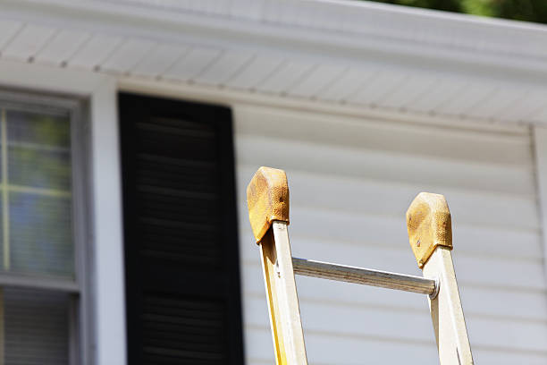 Best Siding for New Construction  in Mount Morris, MI