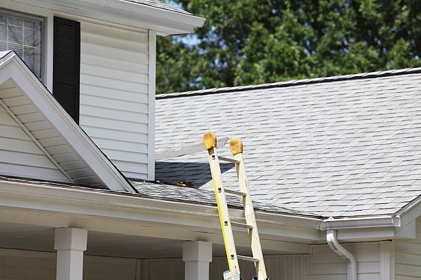 Best Siding for Multi-Family Homes  in Mount Morris, MI